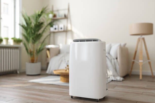 Best HVAC Repair Near Me  in Holly Hill, SC